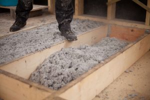 amiante decontamination vermiculite